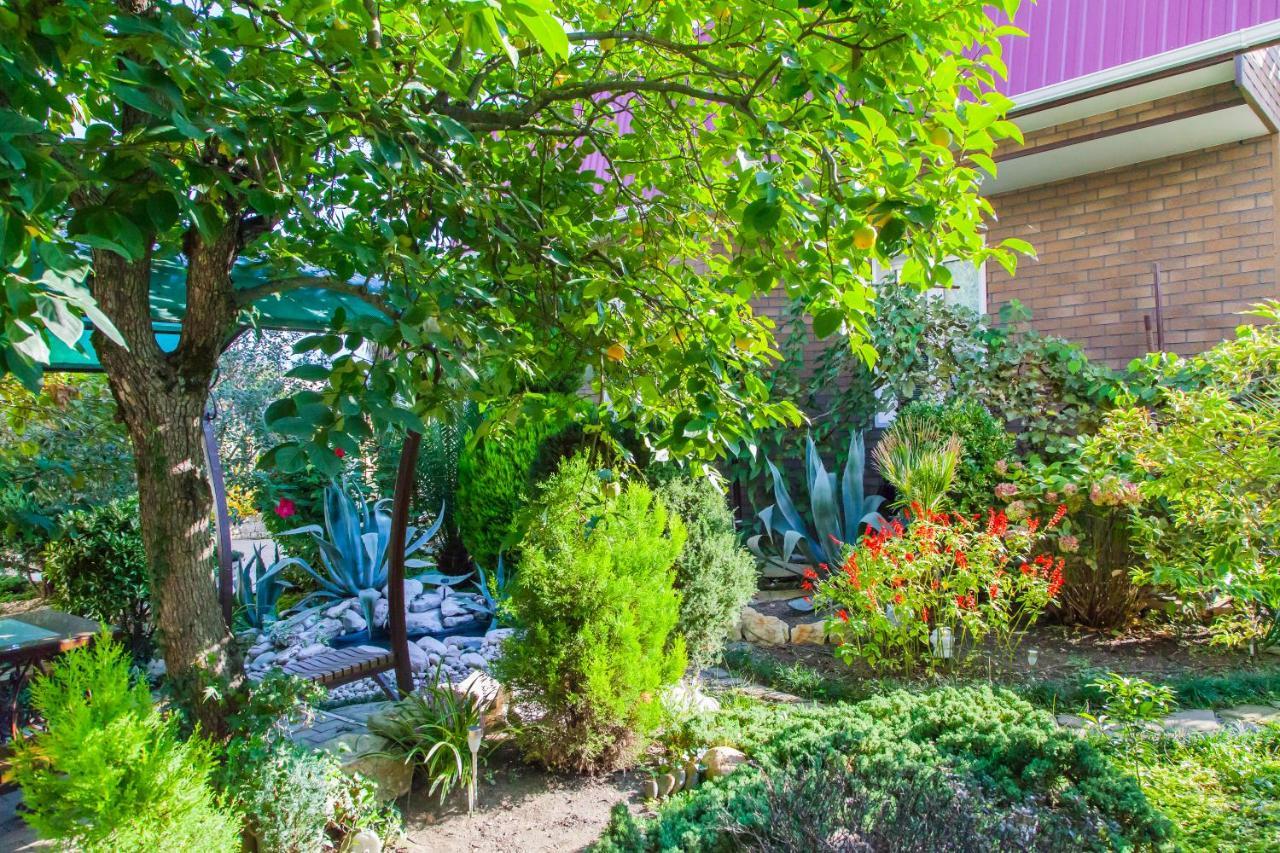 Primorie Guest House Tsandrypsh Εξωτερικό φωτογραφία
