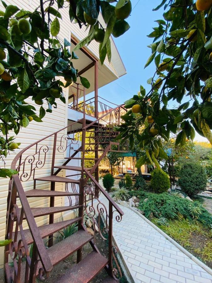 Primorie Guest House Tsandrypsh Εξωτερικό φωτογραφία